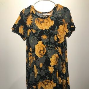 LuLaRoe XS Carly dress